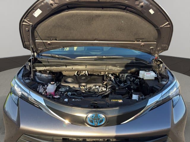 2024 Toyota Sienna XLE