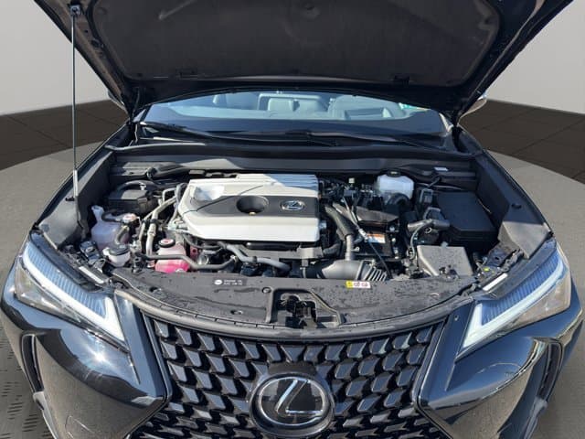 2023 Lexus UX UX 250h Premium