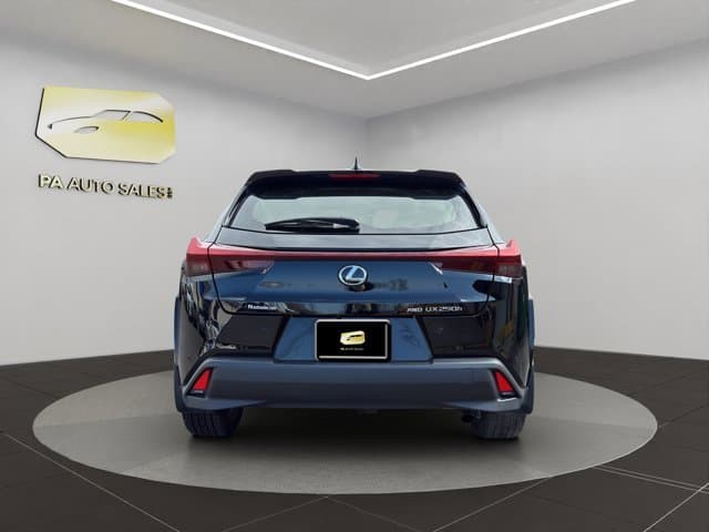 2023 Lexus UX UX 250h Premium
